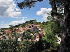 183 D24 BORMES LES MIMOSAS 2_000035